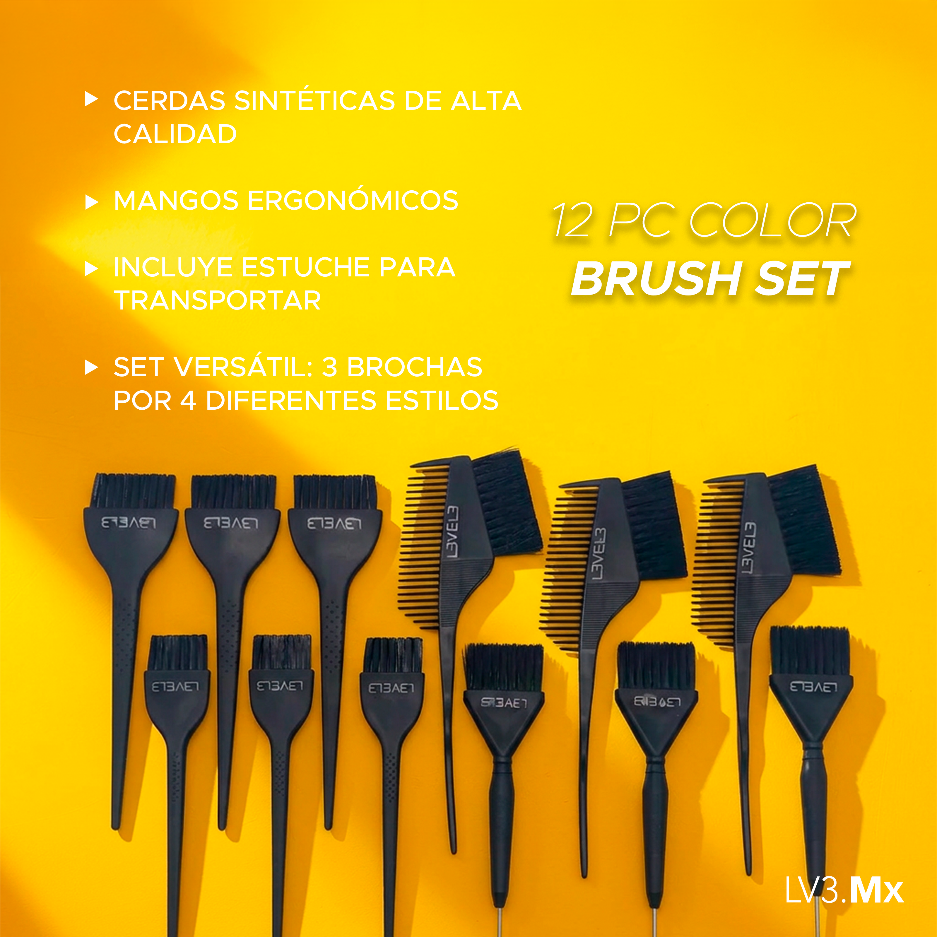 L3VEL3 12 PC COLOR BRUSH SET WITH BAG