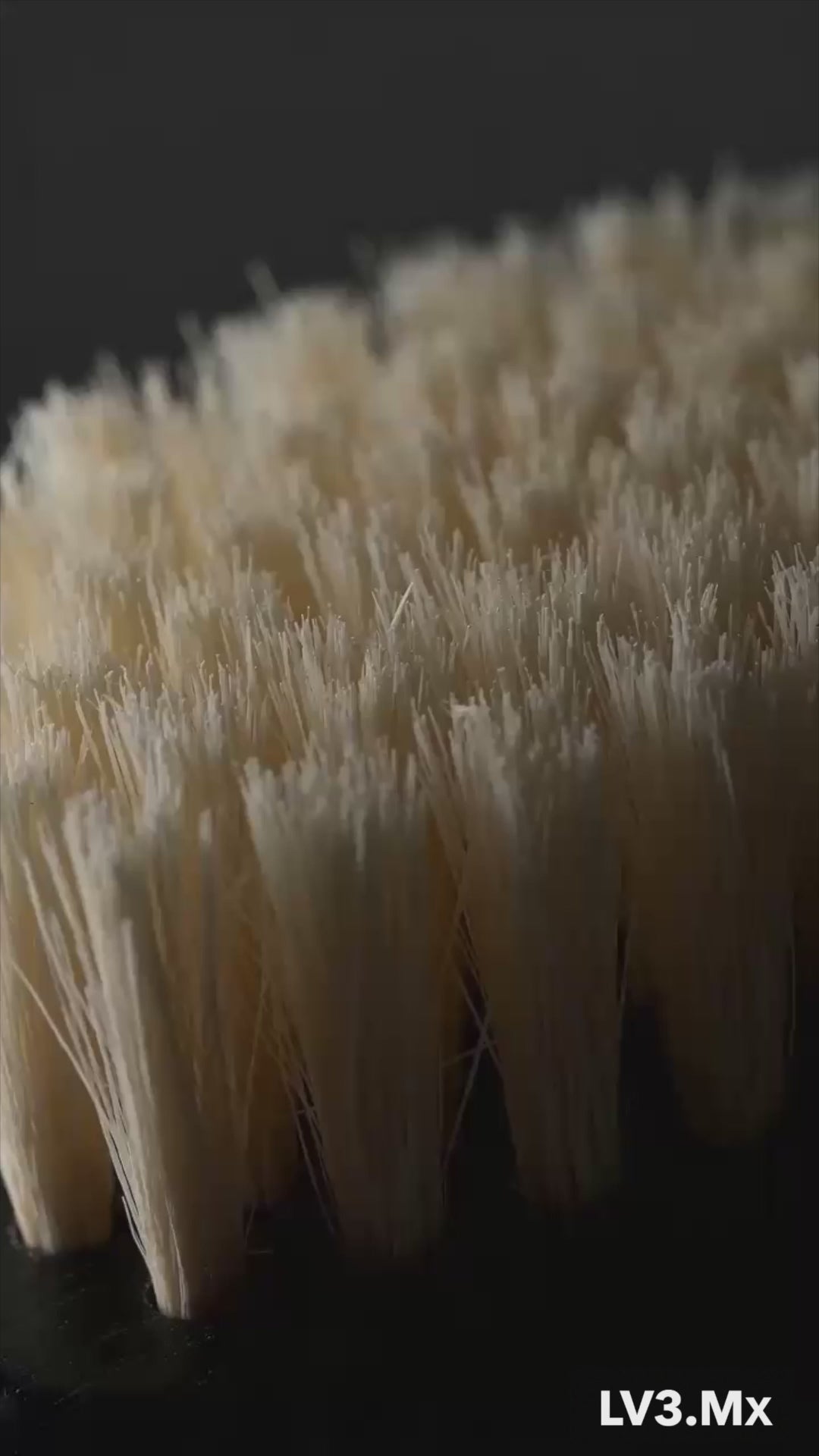 Cargar video: L3VEL3 BRISTLE CLIPPER BRUSH